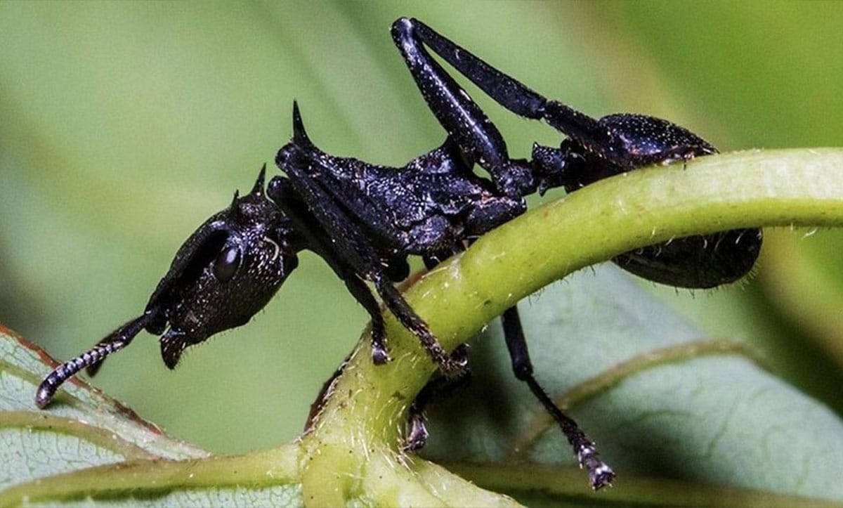 пошук маршруту