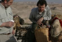 Археологія підтверджує біблійні історії