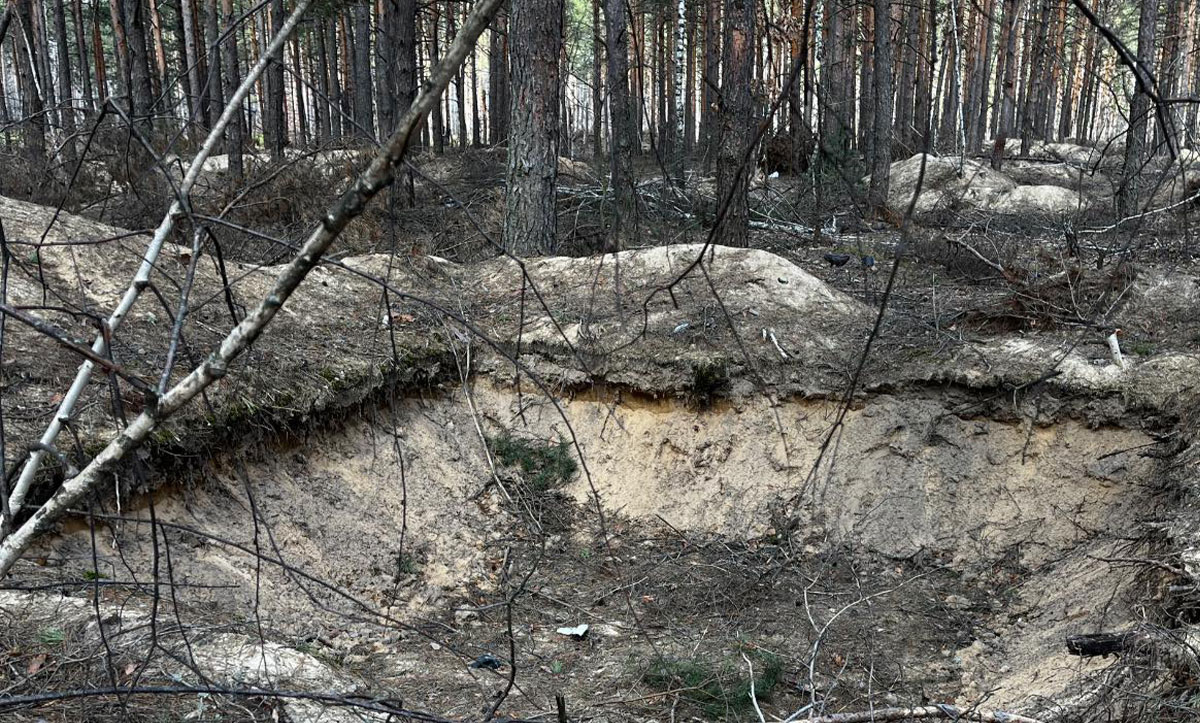 Причина і наслідок