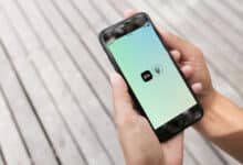 витяг про відсутність судимості