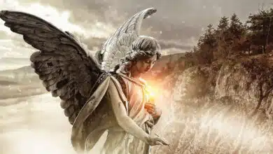 Ангели не плачуть