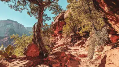 вирішення конфлікту