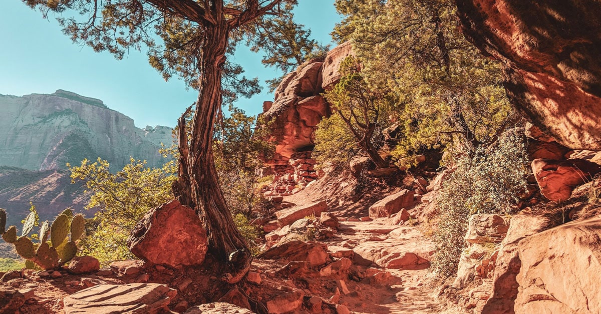 вирішення конфлікту