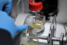 Синтетичні ембріони з стовбурових клітин