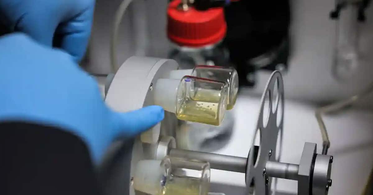 Синтетичні ембріони з стовбурових клітин