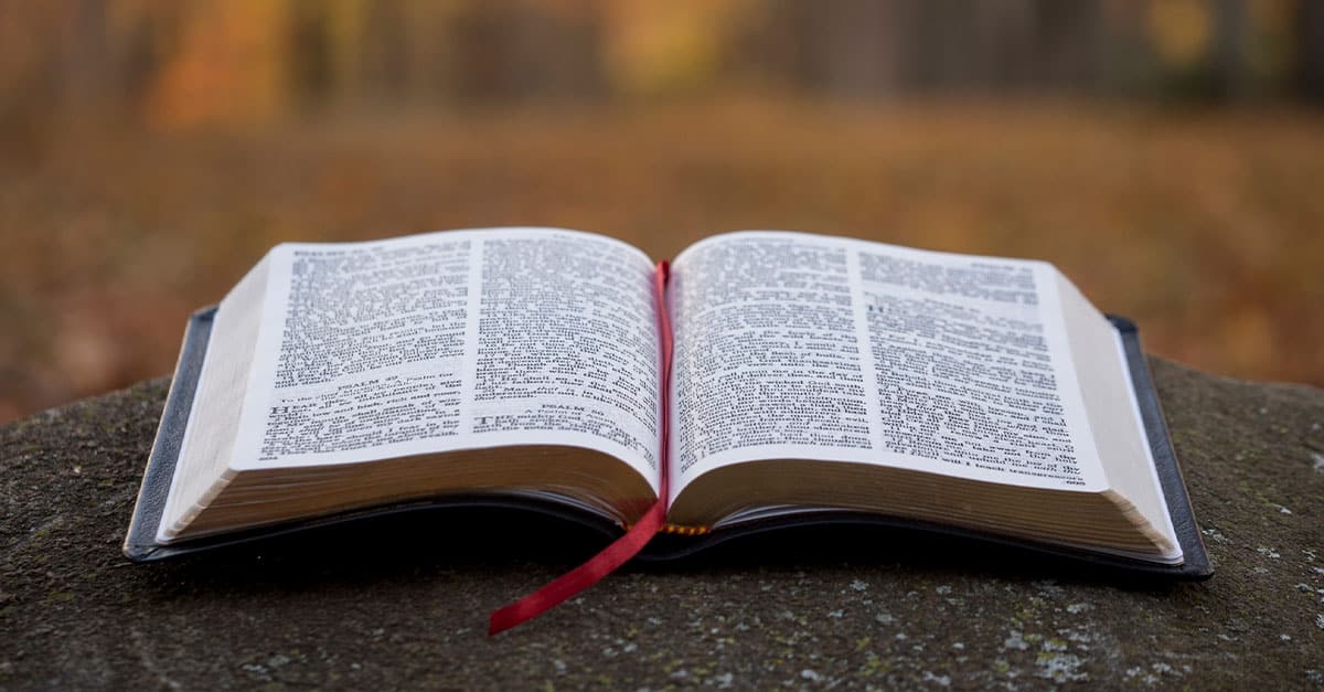 вислови яких немає в Біблії