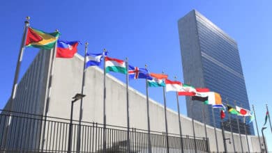 Вимушено переміщені особи