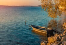 реагувати на невдачу