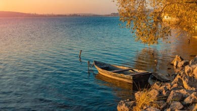 реагувати на невдачу