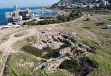 королівський пурпур