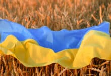 вірять у перемогу