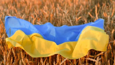 вірять у перемогу