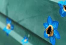 важливість безпеки