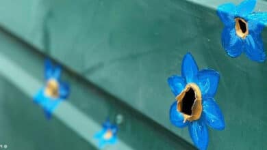 важливість безпеки