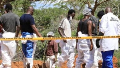 Трагедія культу голоду