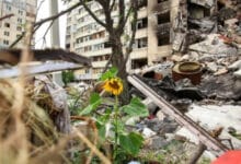 екологічні збитки