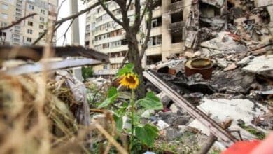 екологічні збитки