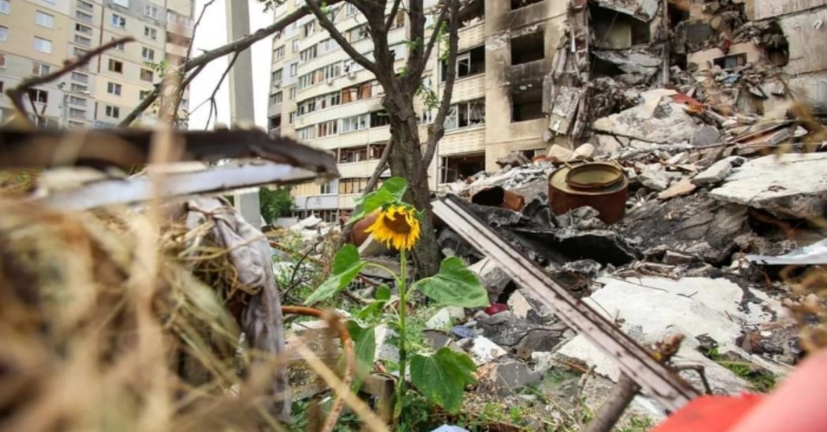 екологічні збитки