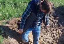 про самоконфронтацію в час війни