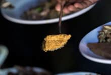 зернова угода