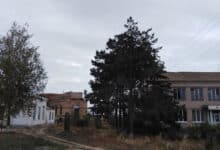 Окупаційна влада