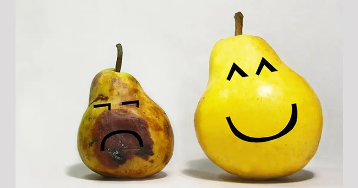 побороти заздрість