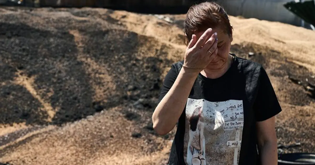 голод в Україні