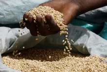 Ситуація з голодом