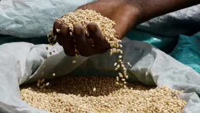 Ситуація з голодом