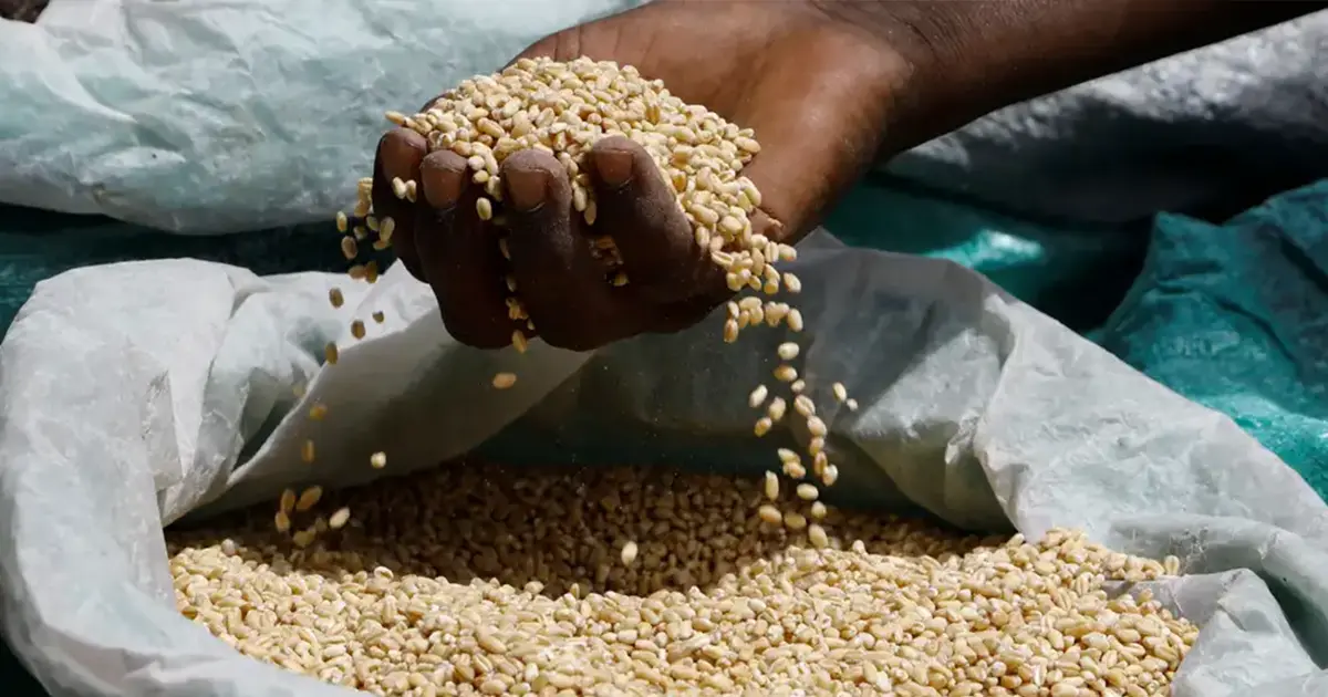 Ситуація з голодом