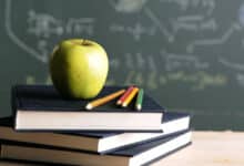 навчальний рік