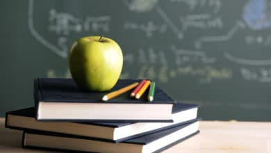 навчальний рік