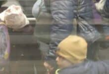 європейський ринок оренди житла