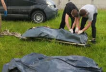 звіт про кількість жертв