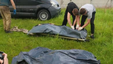 звіт про кількість жертв