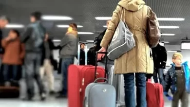 українські вимушені мігранти