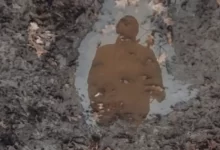 Зникли безвісти в Україні