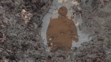 Зникли безвісти в Україні