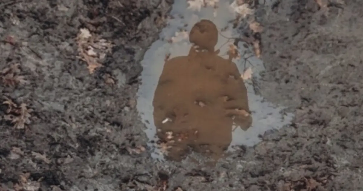 Зникли безвісти в Україні