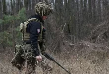 розмінування лісів