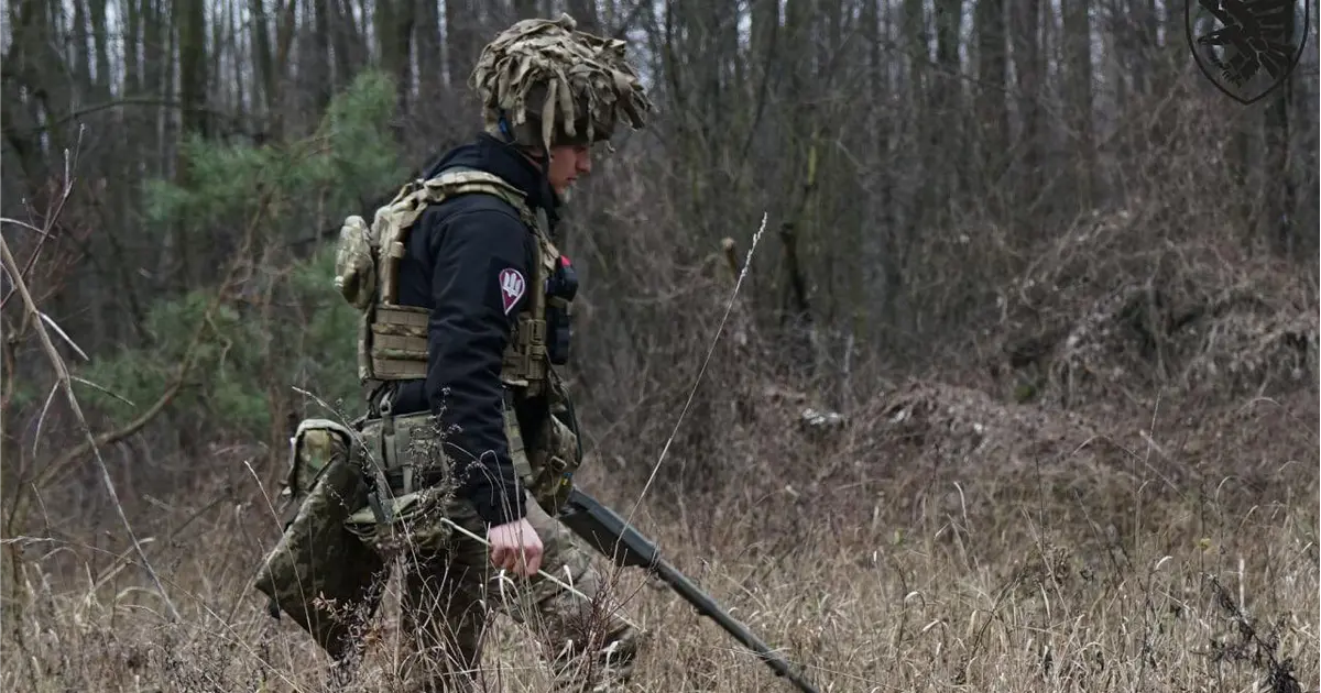 розмінування лісів