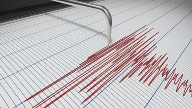 Землетрус в Закарпатті