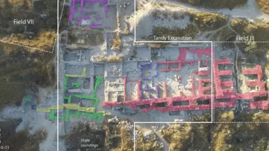 радіовуглецеве датування Гезера