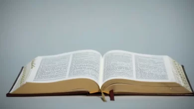 УГКЦ Київська Біблія