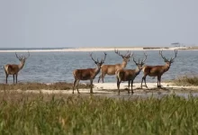 природоохоронні території війна