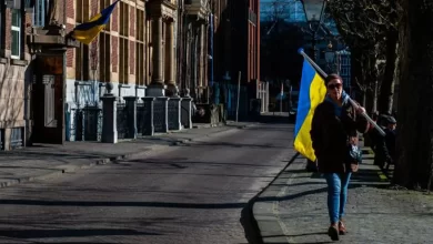 українські біженці у Нідерландах