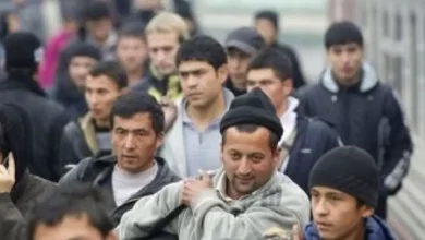 мігранти на окупованих територіях України