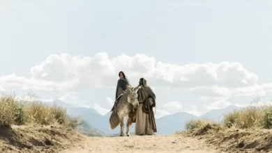 Зображення з третього різдвяного спецвипуску "Вибрані"