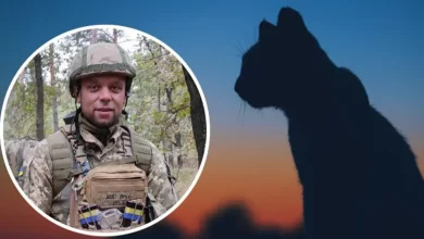 Кіт врятував військових