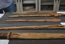 Археологічне відкриття року: давньоримські мечі в Ізраїлі